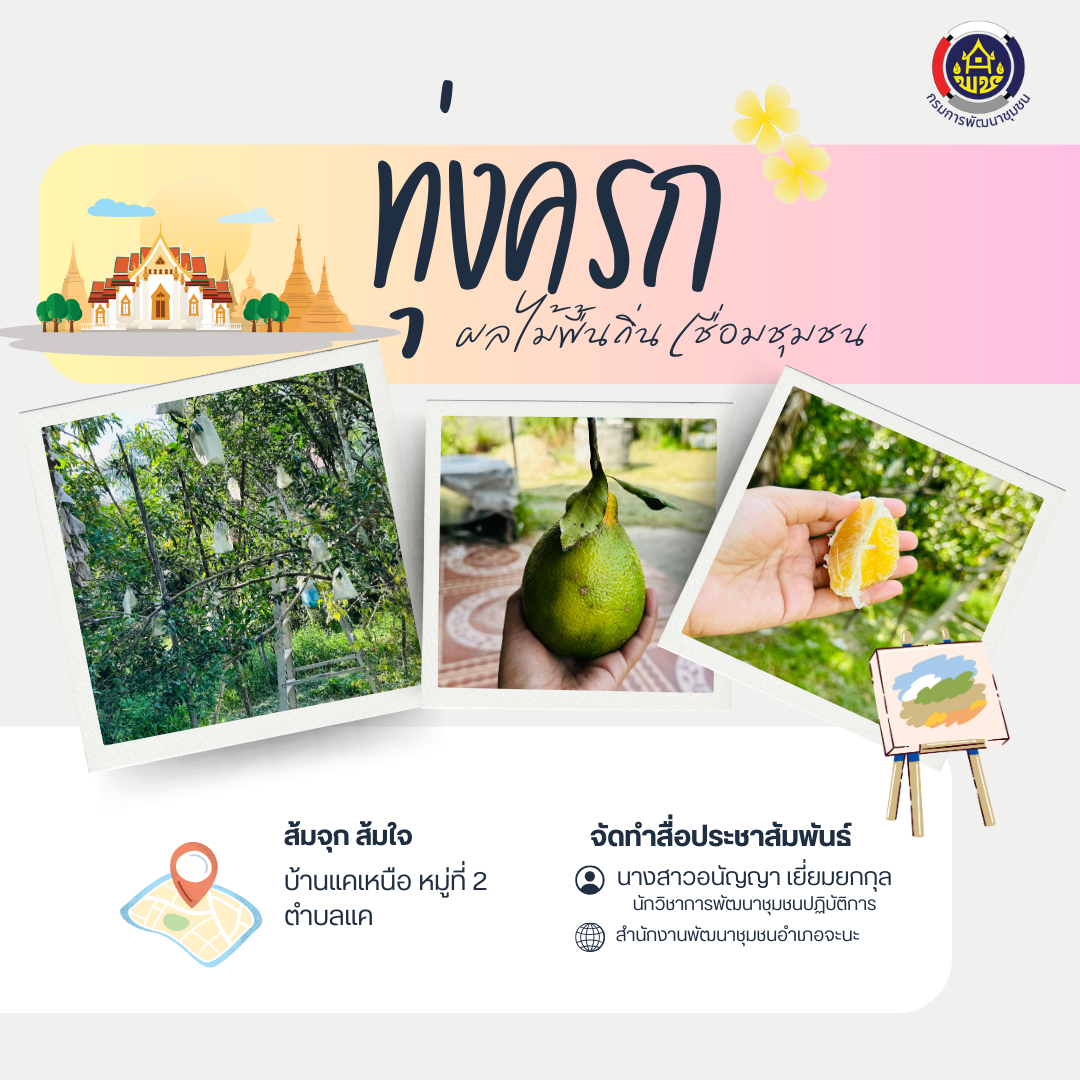 🛕 OTOP นวัตวิถี – วิถีชุมชนจะนะ บ้านทุ่งครก 🌿